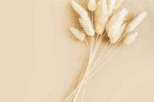 Le meilleur coiffeur à couillet? nk espace coiffure près de charleroi
